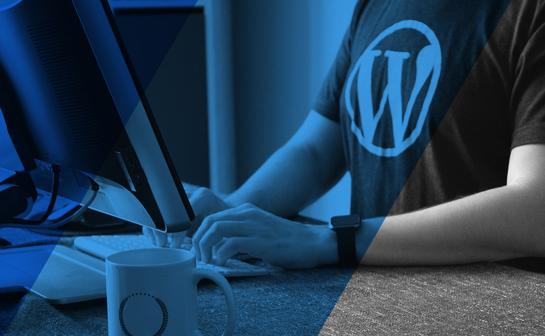 WordPress theme setup service