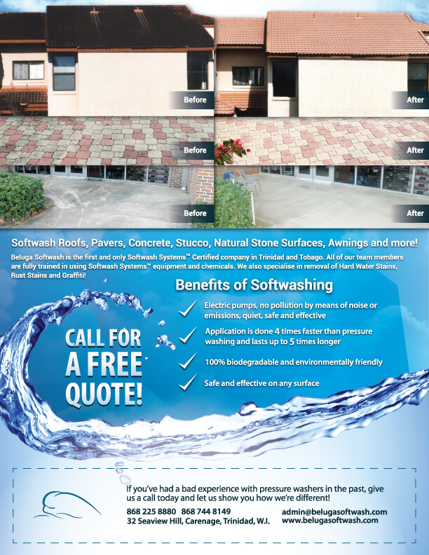 Direct Mail Flyer Advert Artwork Design for Beluga Softwash - Back